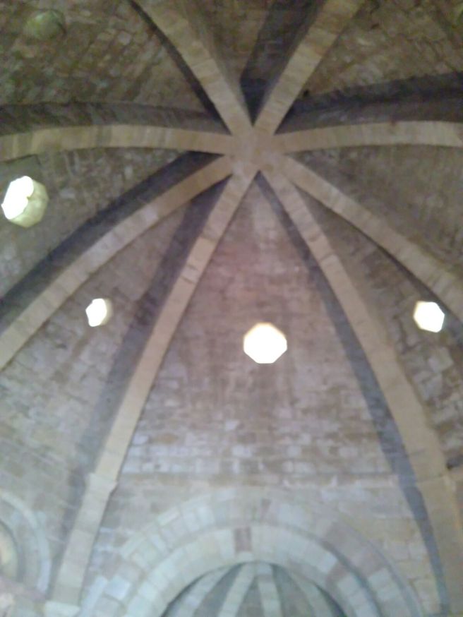 8d010a6d-79c4-4f23-baa9-2e4876f3a285